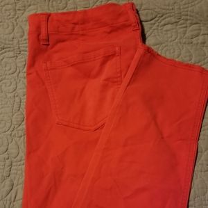 Tinsel Frayed Hem Chino Pant